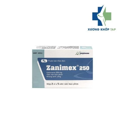 Zanimex 250 - Thuốc điều trị nhiễm khuẩn